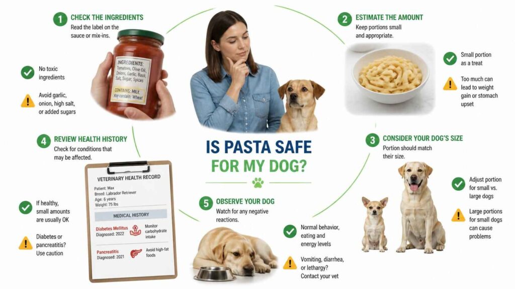 Can Dogs Eat Pasta? Five-step safety check before feeding pasta to your dog
