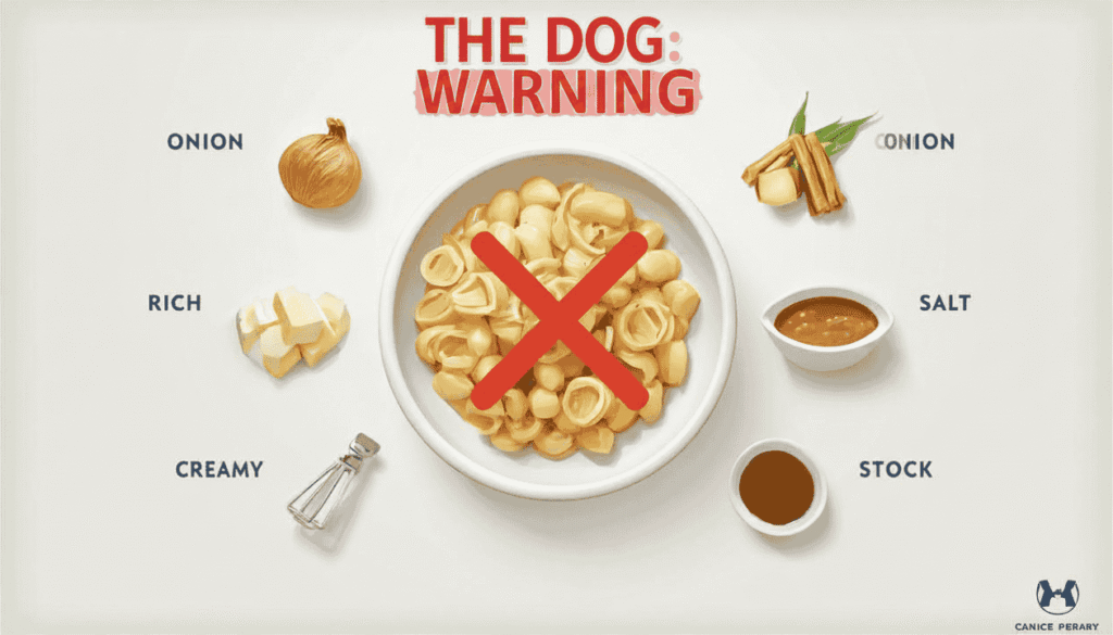 Ingredients dogs should never eat with swede, including onion, garlic, butter, gravy, cream, and salt.