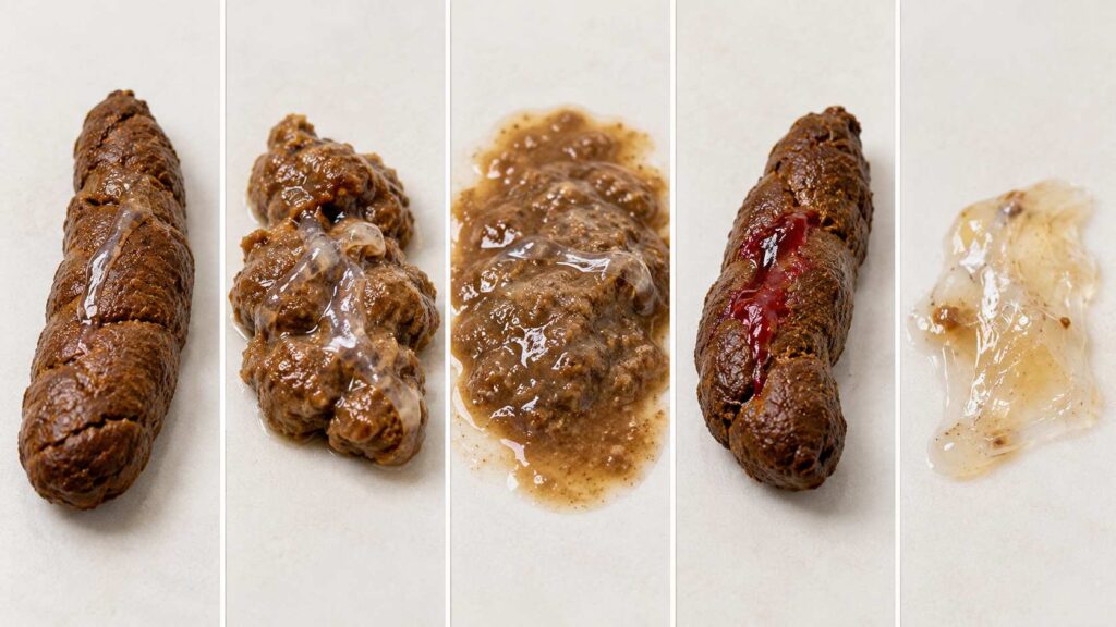 Veterinary illustration comparing five dog stool patterns, including mucus-coated poop, diarrhoea and blood-streaked stool.