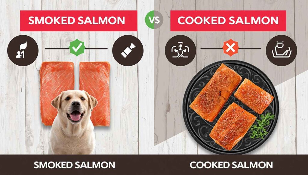 Comparison of smoked salmon and plain cooked salmon with safety indicators for dogs