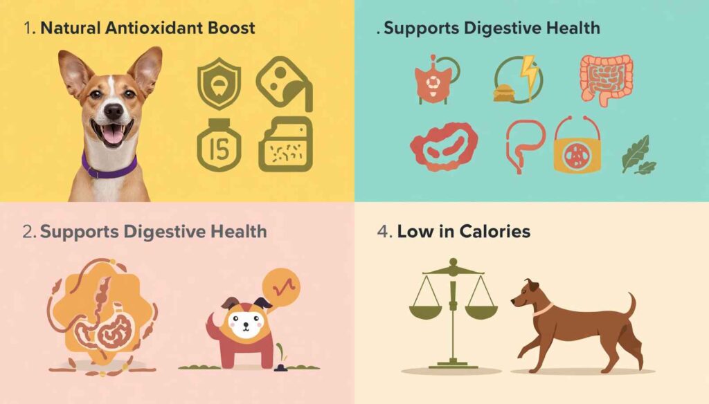 Educational infographic showing antioxidant digestive energy and low-calorie benefits of spinach for dogs
