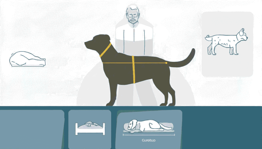 Dog owner measuring a dog with a tape measure to determine the correct bed size
